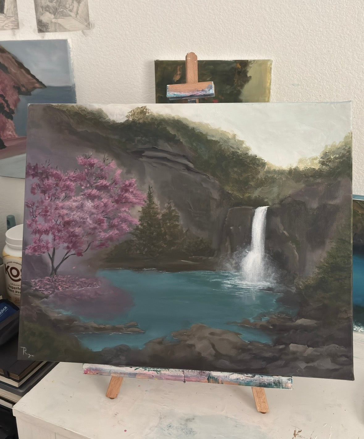 Magnolia